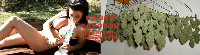 Каннабис OG Kush  Верхнеуральск 